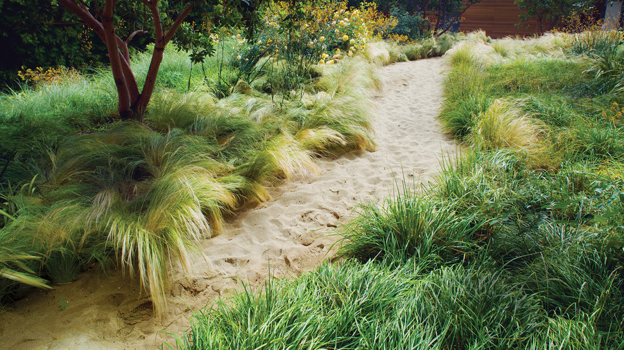 landscaping with sand